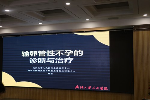 IMG_楊菁課件.jpg